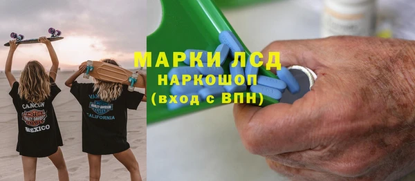 стафф Алзамай
