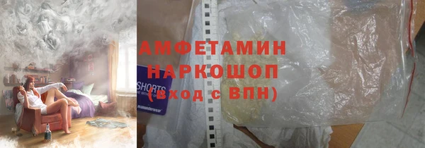 хмурый Алексин