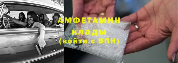 молекула духа Арсеньев