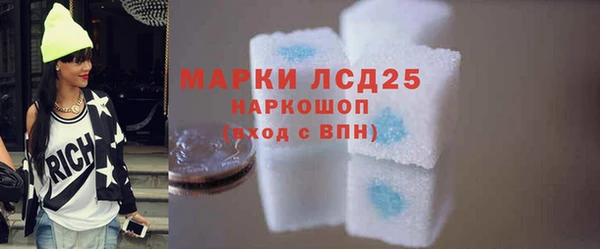 молекула духа Арсеньев