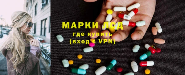 СК Аркадак