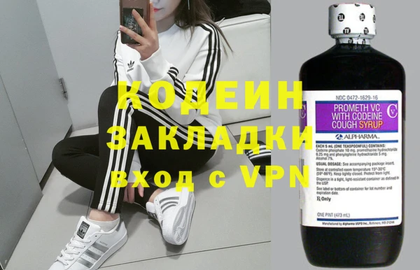 хмурый Алексин