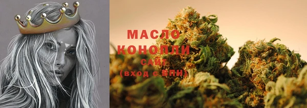 молекула духа Арсеньев