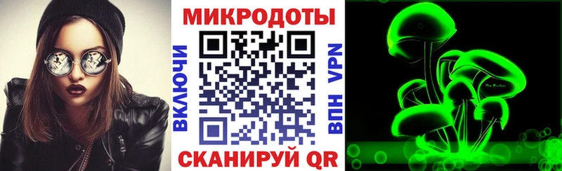 Галлюциногенные грибы Cubensis  Багратионовск 